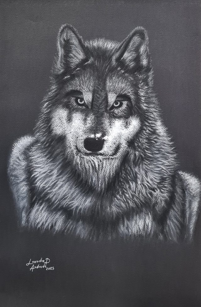Lápis e Giz Pastel Lobo